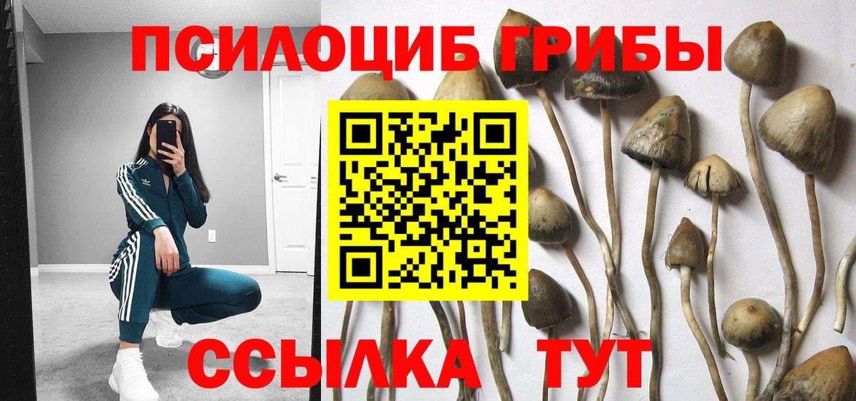 Псилоцибиновые грибы мухоморы Ялта